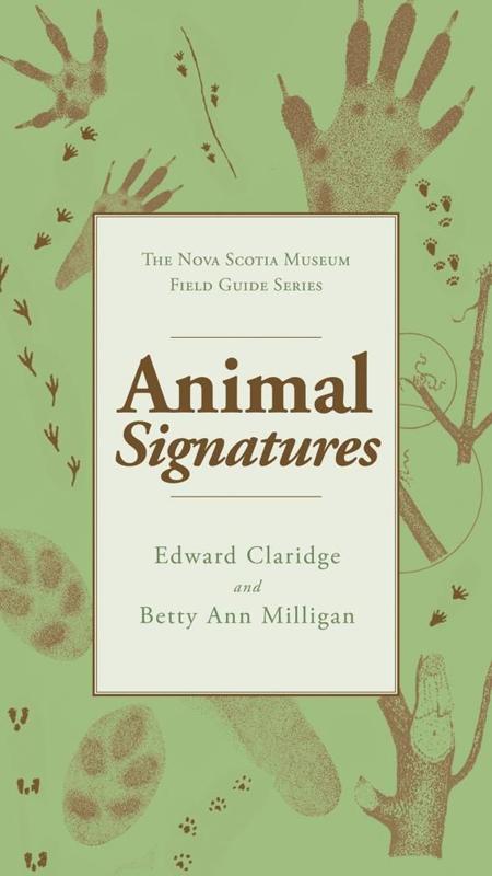 Jak rozpoznawać i interpretować znaki zwierzęce: przewodnik dla początkujących