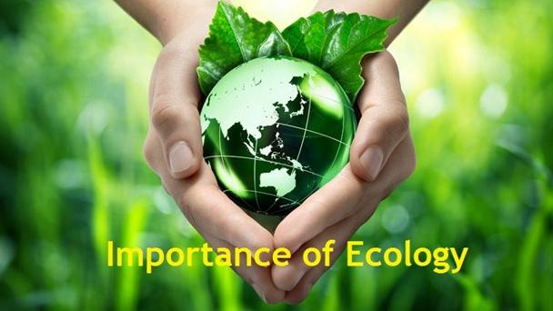Zrozumienie ekologii i asg: definicje i znaczenie