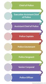 Struktura i hierarchia stopni policyjnych w polsce